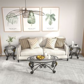 Tempered Glass Surface Coffee Table Set of 3, Decor Elliptical Coffee Table with Round End Side Tables