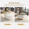 Modern 2 Pieces Square Nesting Coffee Table with Drawers & Electroplated gold legs in 27.6''